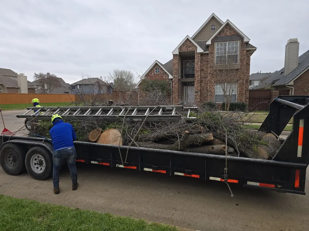 Expert Lot Clearing with proper safety equipment in Alcoa